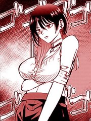 汉化组漫画白鹤纪年封面